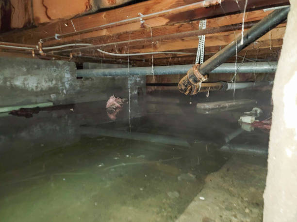 Best Basement water damage restoration  in West Elmira, NY