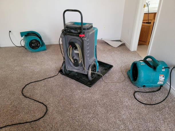 Best Local water damage restoration  in West Elmira, NY