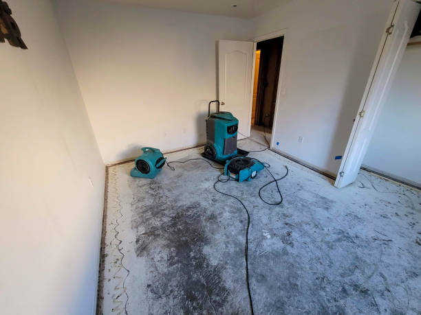Best Water damage cleanup near me  in West Elmira, NY