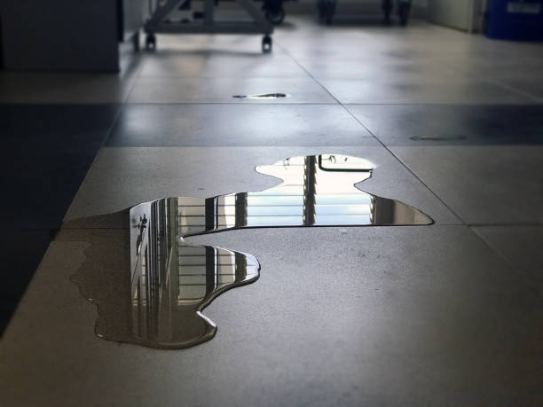 Best 24/7 water damage repair  in West Elmira, NY