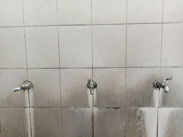 Best Sewage cleanup and water damage restoration  in West Elmira, NY