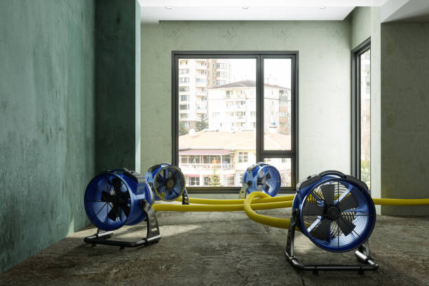 West Elmira, NY Water damage restoration Company