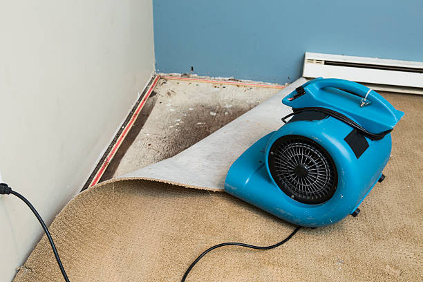 Best Basement water damage restoration  in West Elmira, NY
